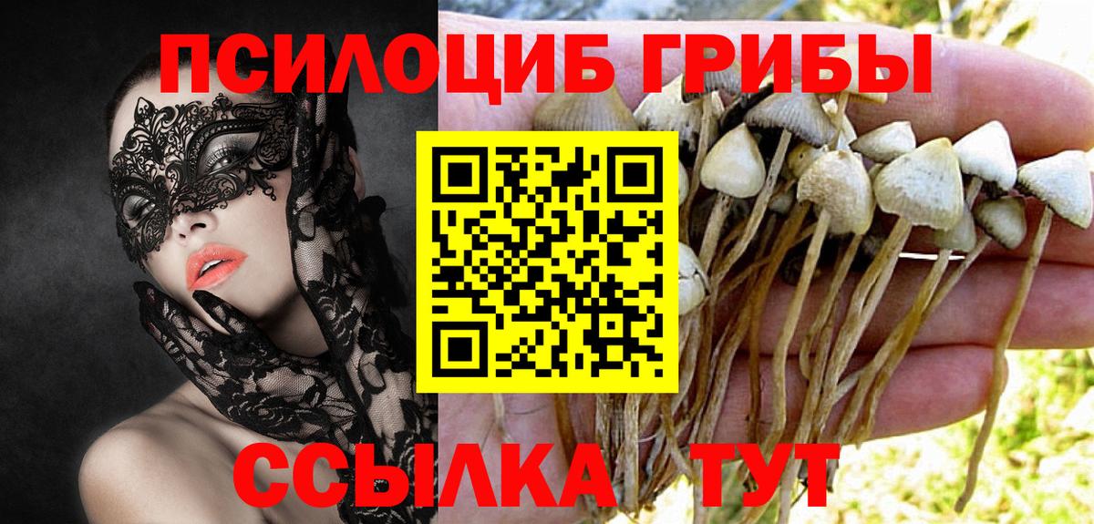 Ржев  Галлюциногенные грибы Psilocybine cubensis  Галлюциногенные грибы Magic Shrooms  где можно купить наркотик  Вход с VPN 